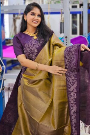 Banarasi Soft Silk Saree